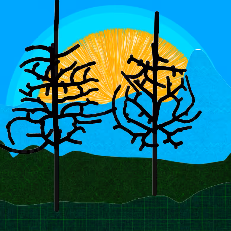 Growth #15