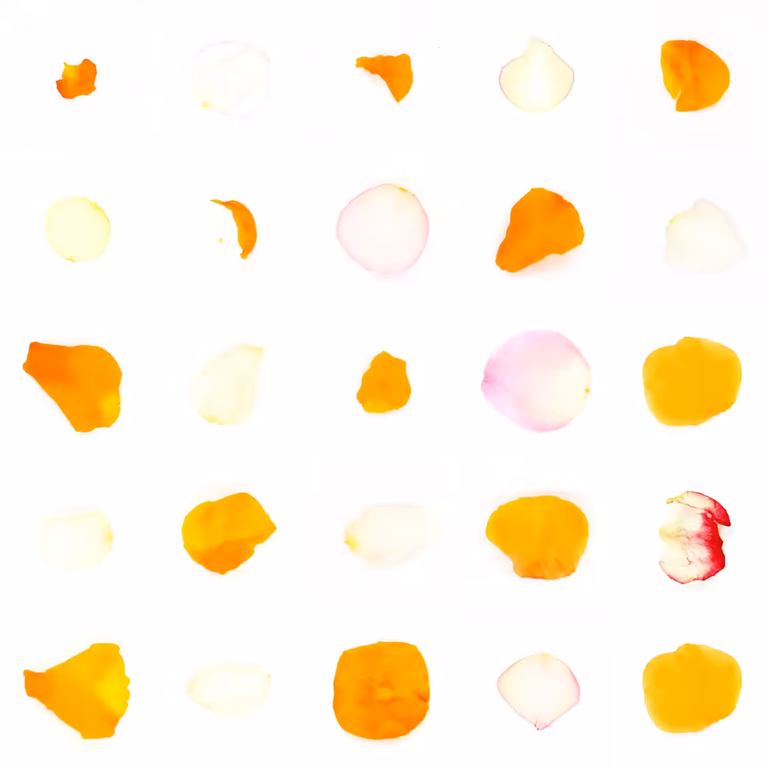 Infinite Petals 5x5#20314