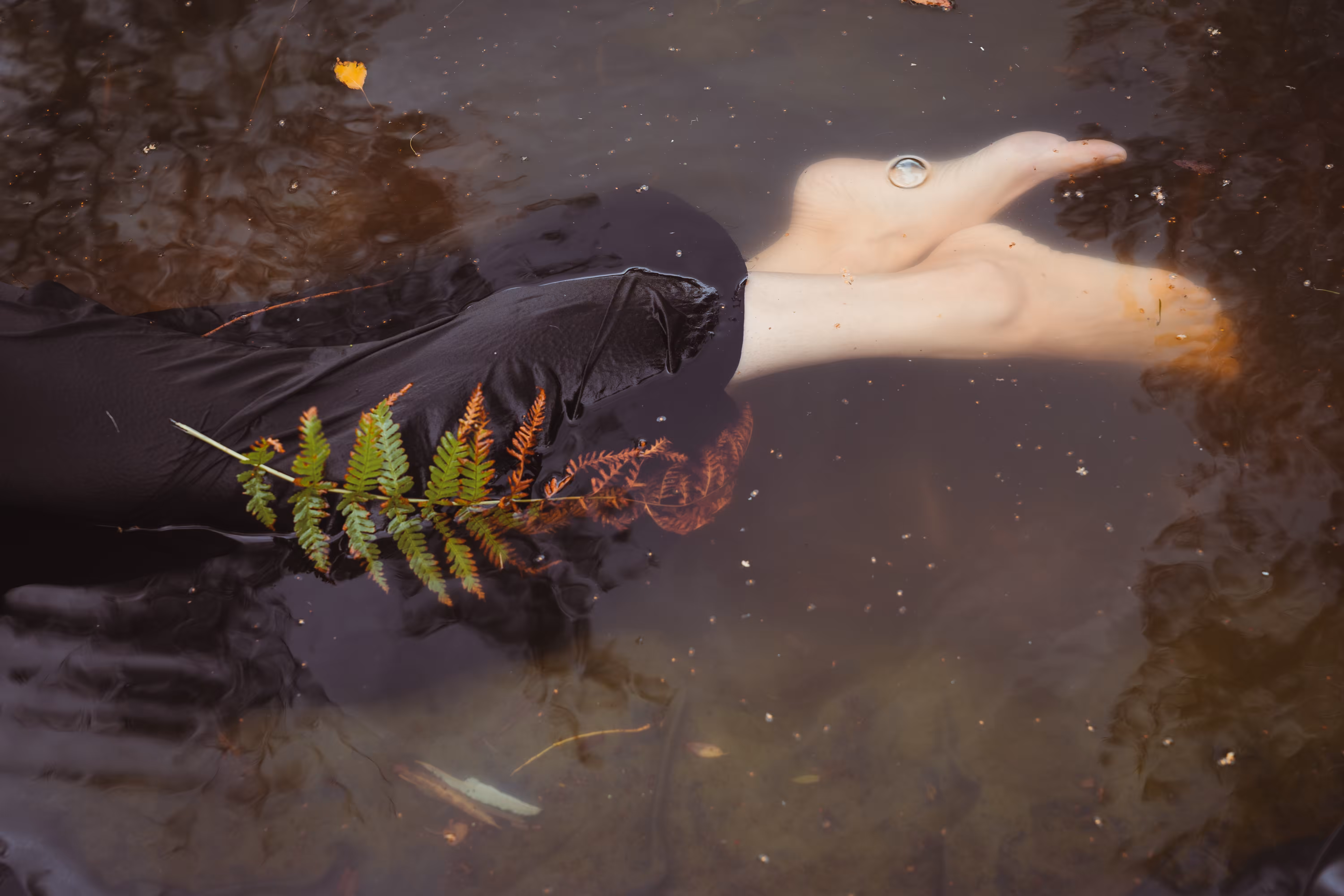Ophelia's dream