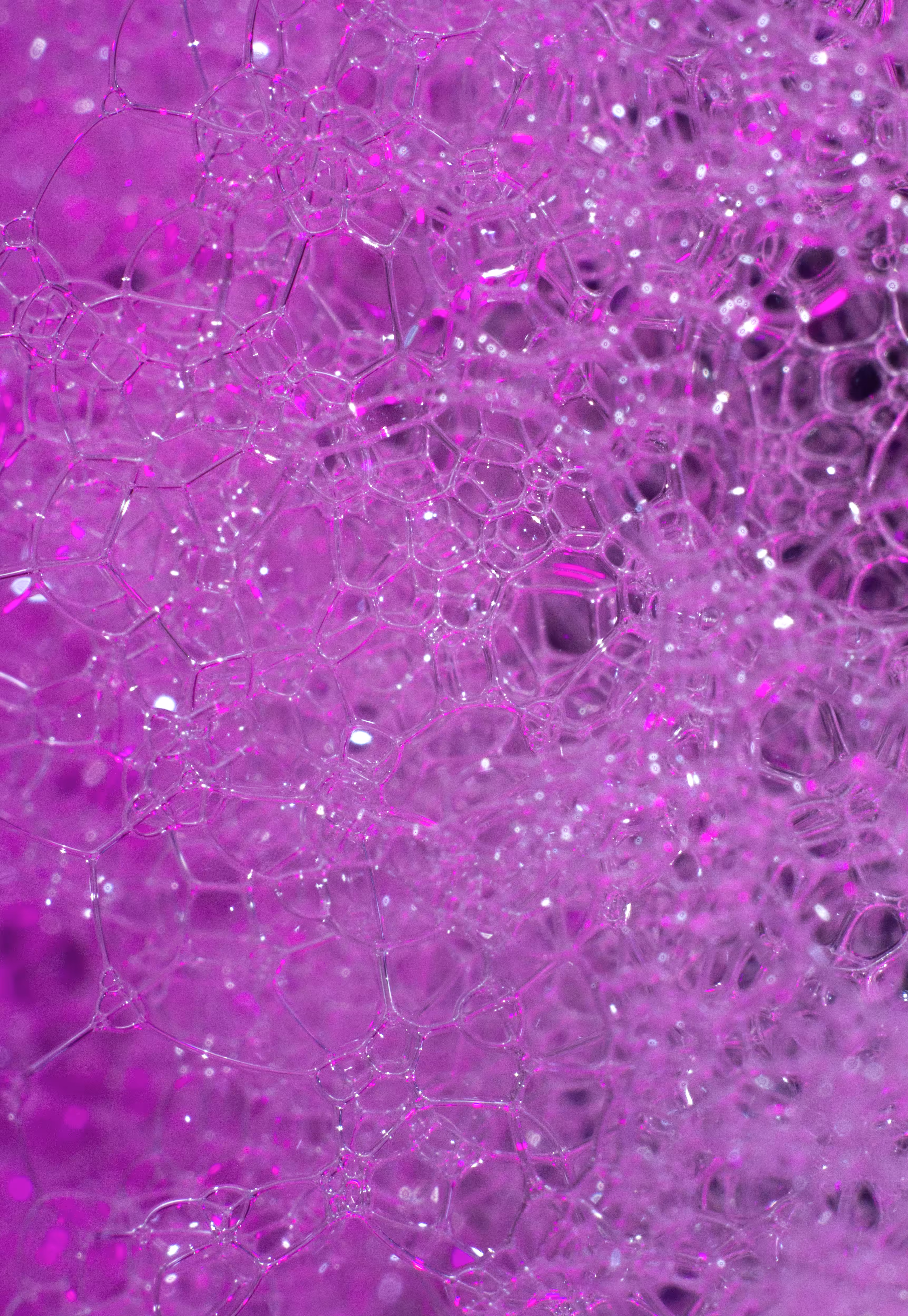 Abstract World of Soap Bubbles: #136 Bubbles