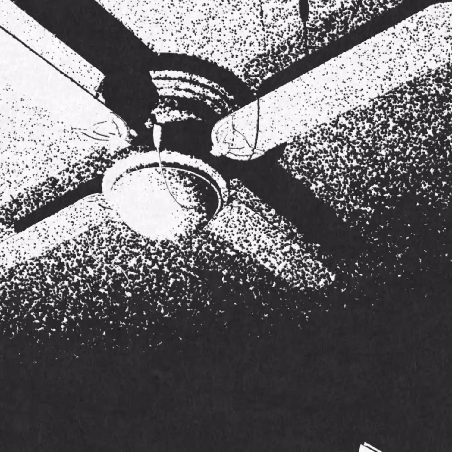 The Fan