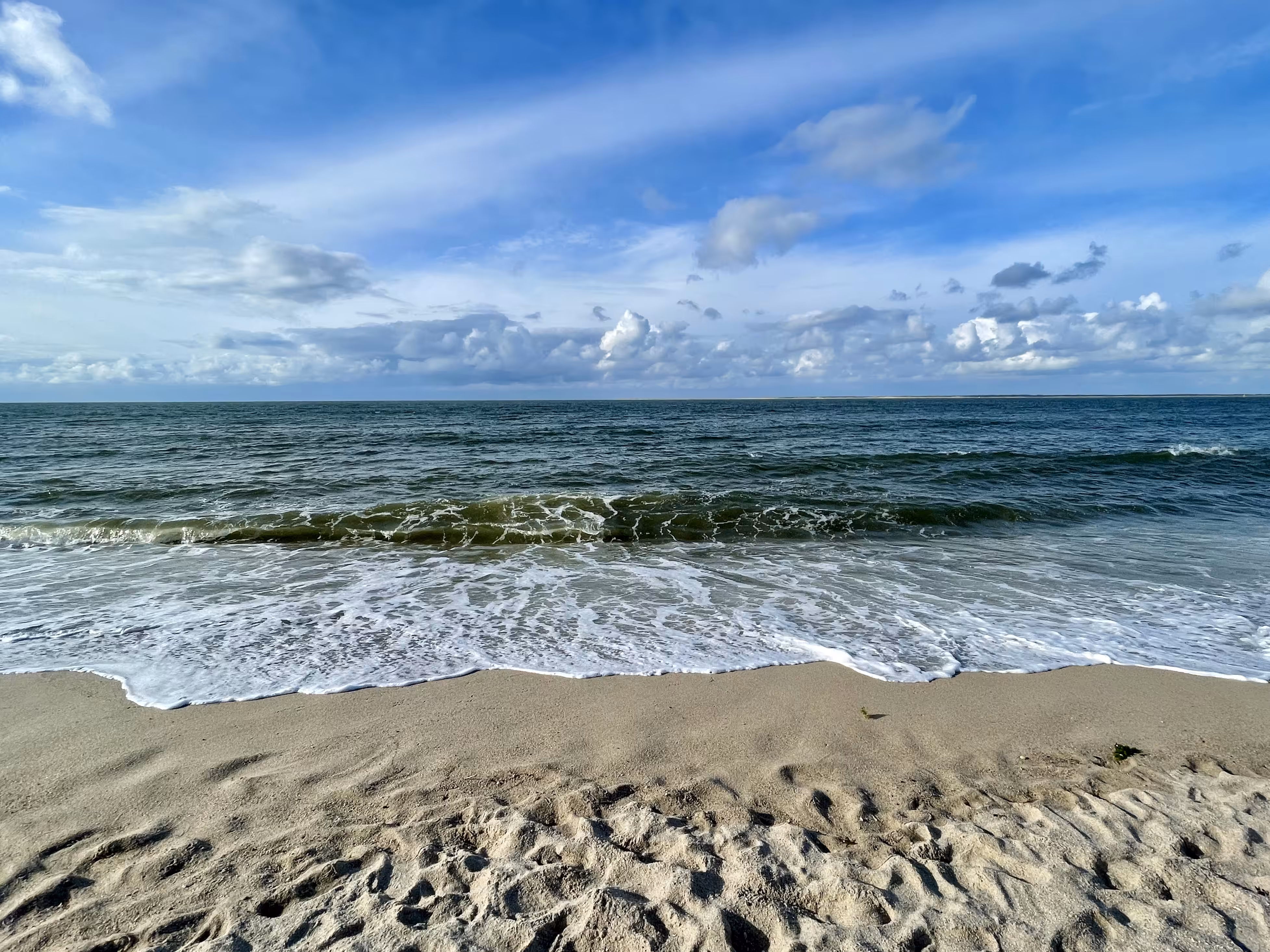 my dream waves