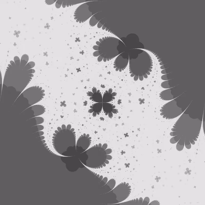 Morphology #29