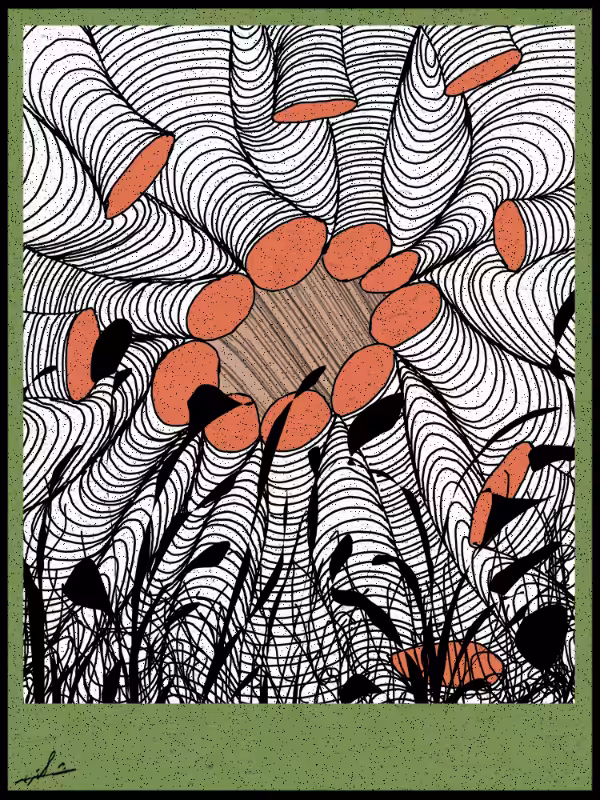 Play with lines #zentangle #25