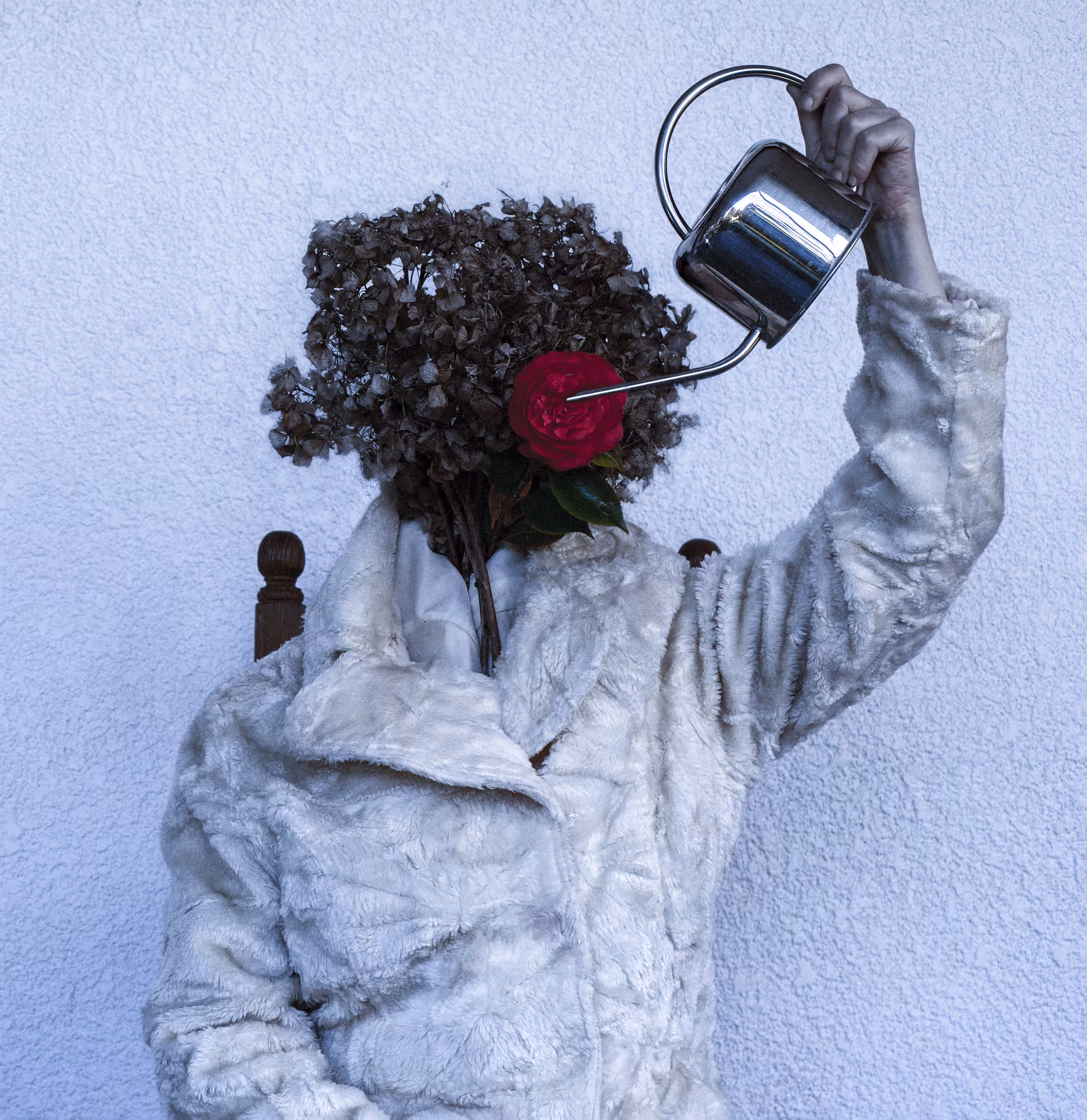 Rodeo posts: R24 ROSE