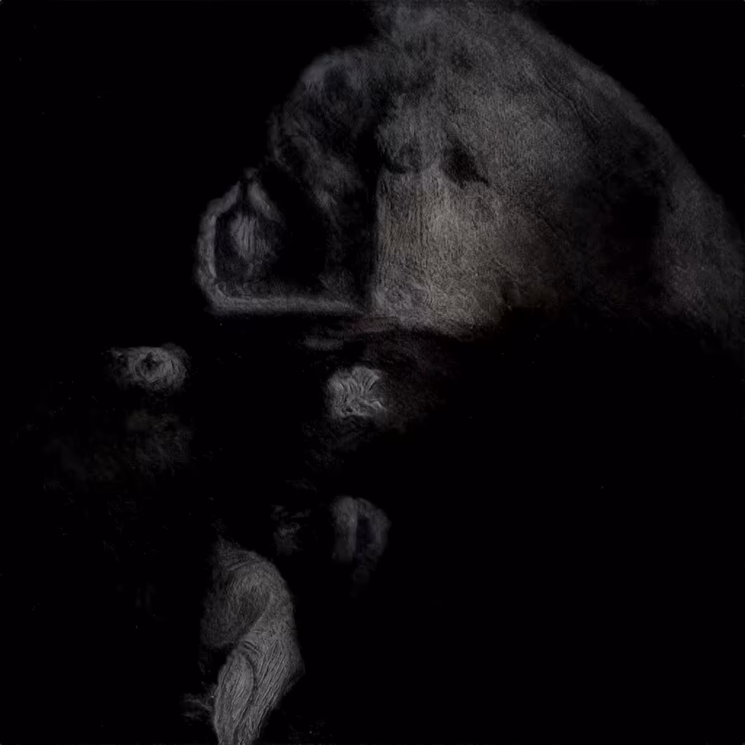 Ghosts in the Dataset [gAN]