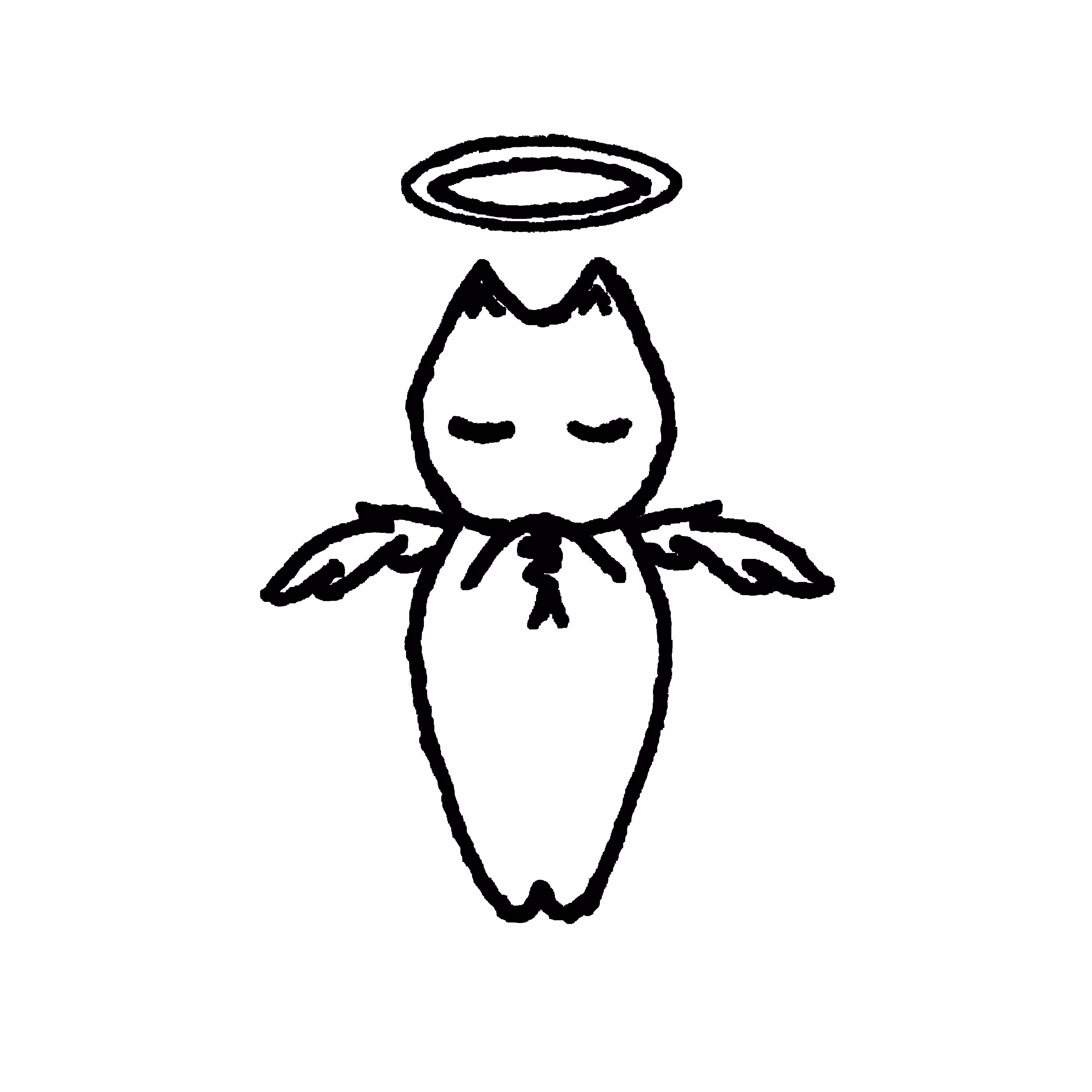 angel kitten