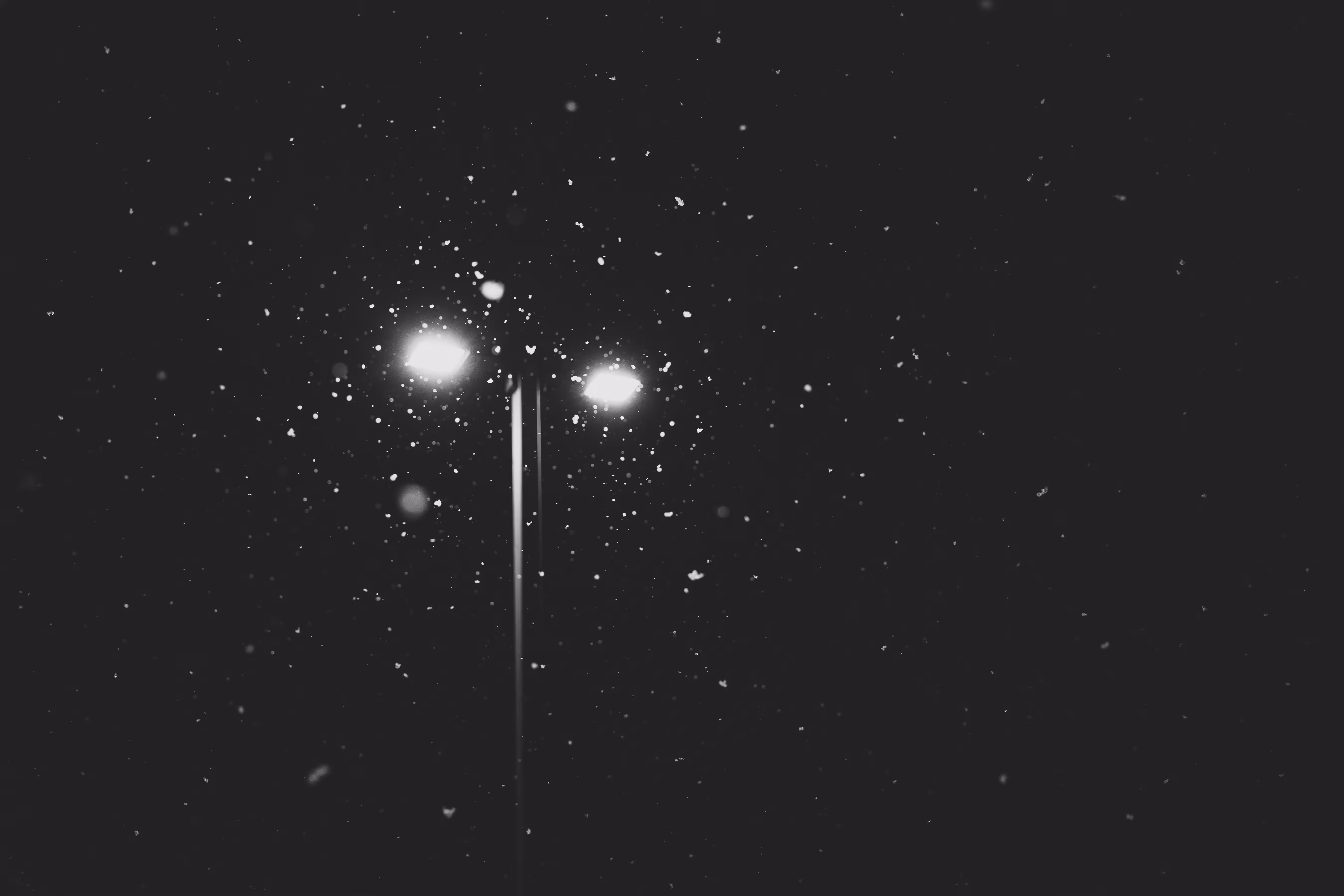 Shine a Light