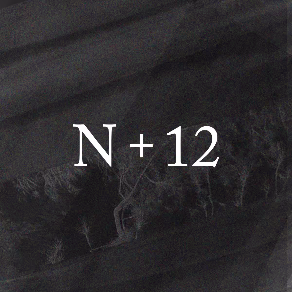 N+12