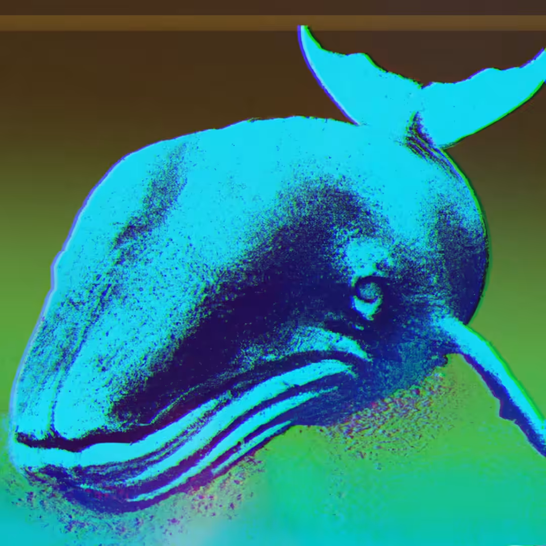 SPIRIT ANIMALS: WHALE - SA#024