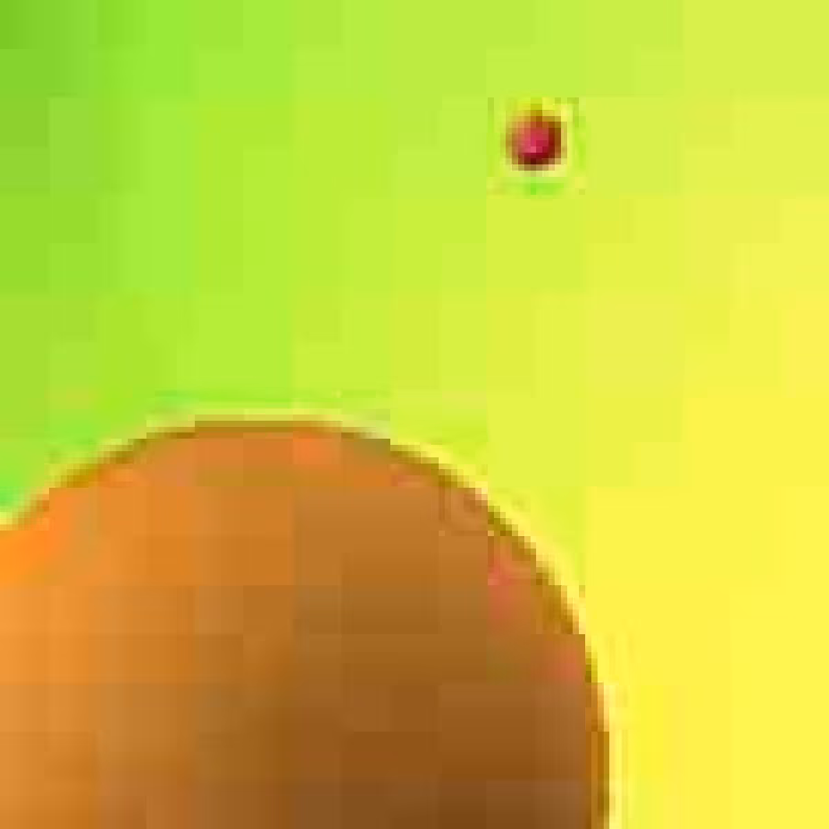 Orbit 515908507