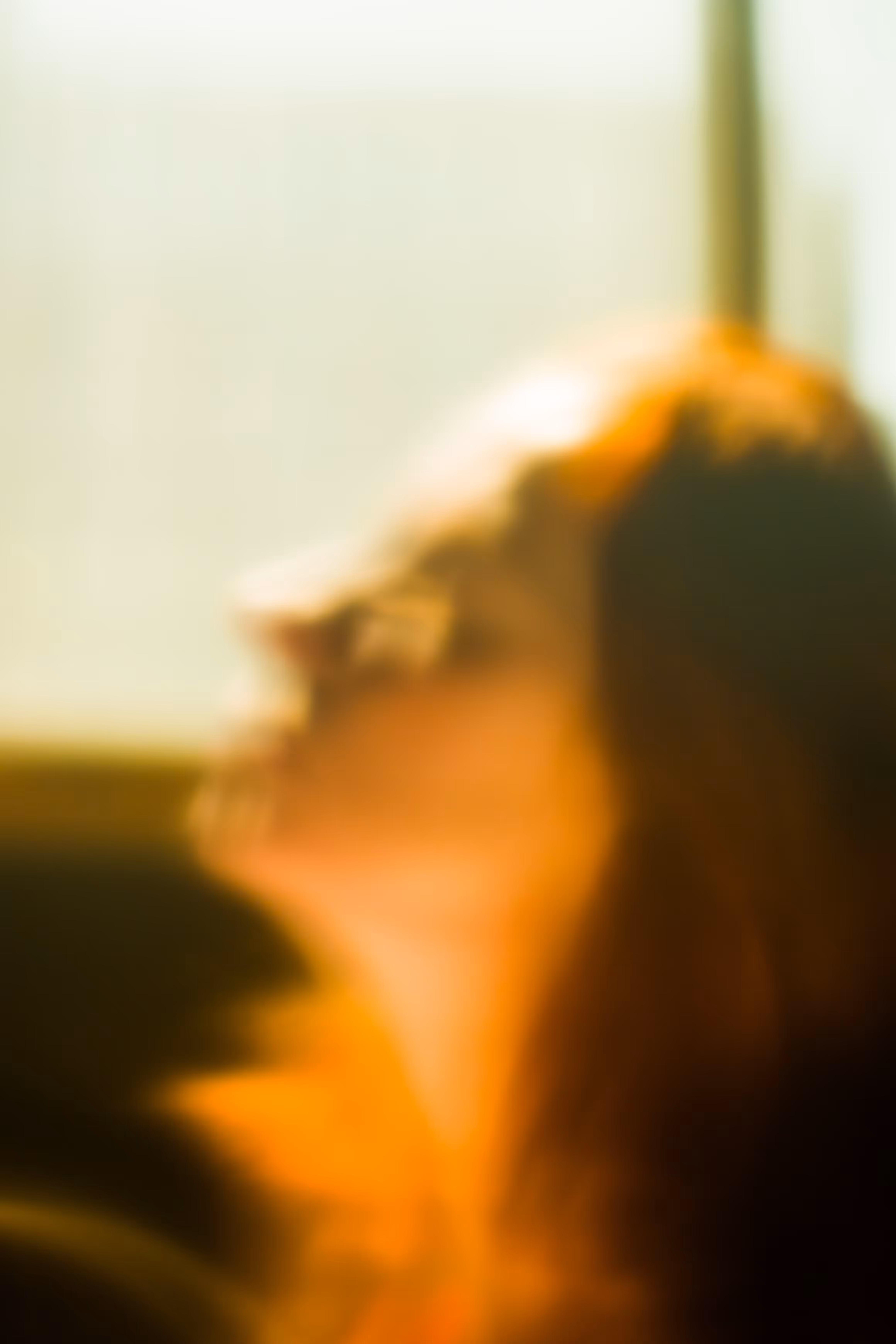 "Glass silhouettes" series. Tanya