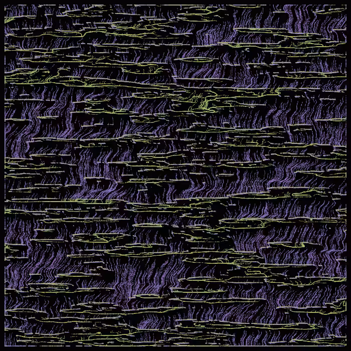magical swamp #15