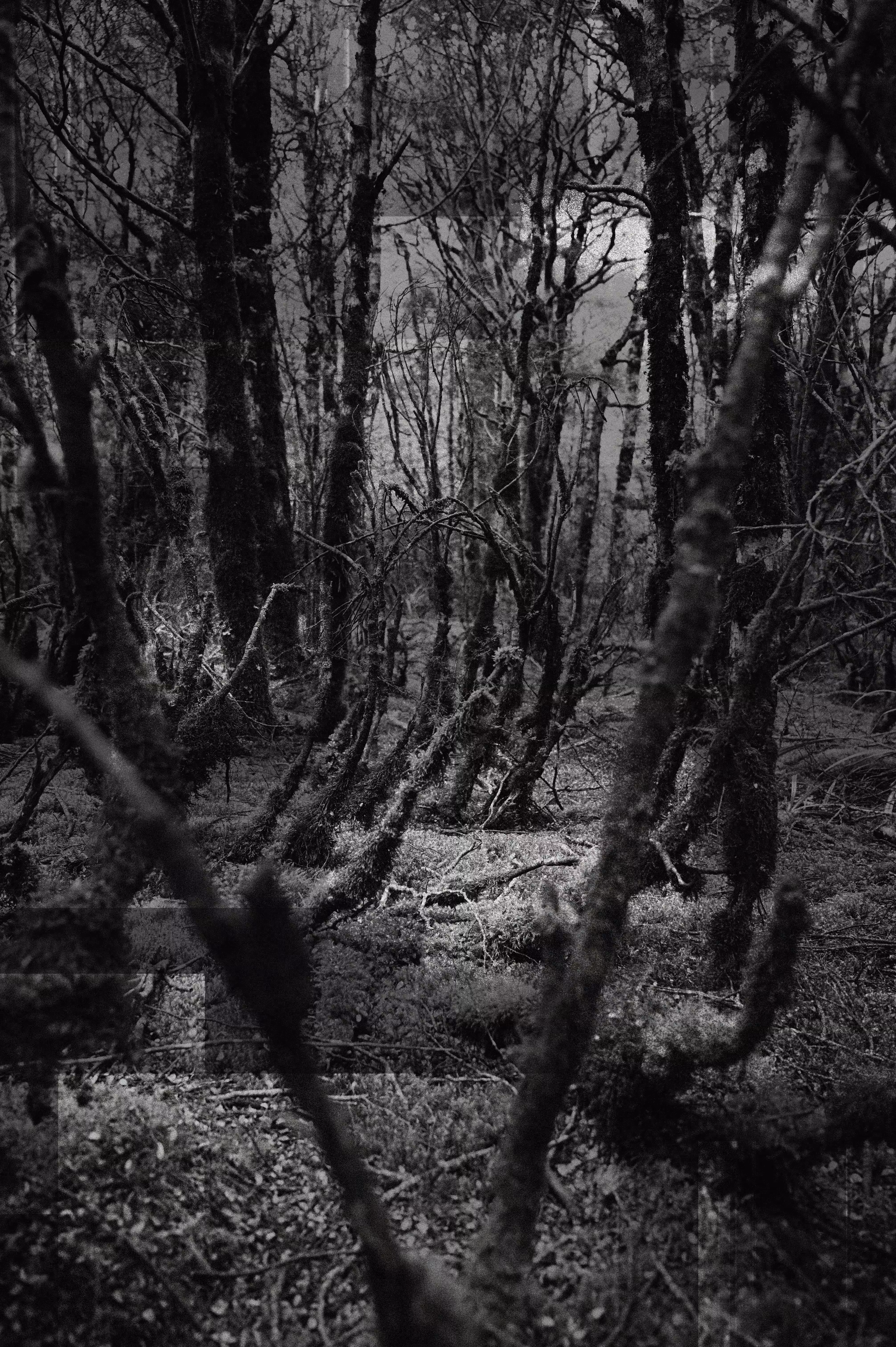 Silence