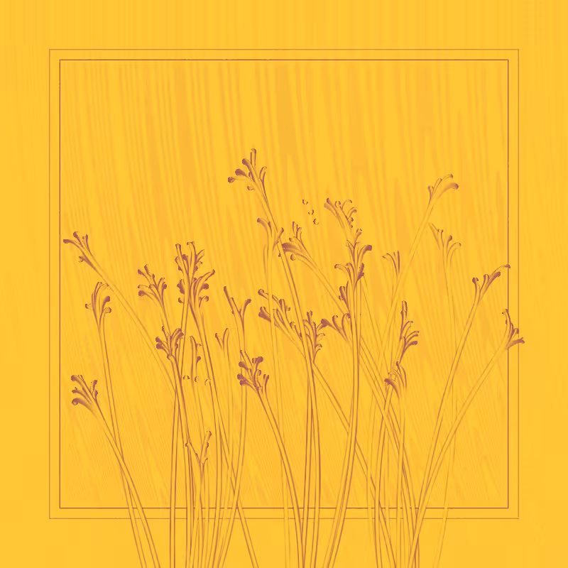 string_pllu #69