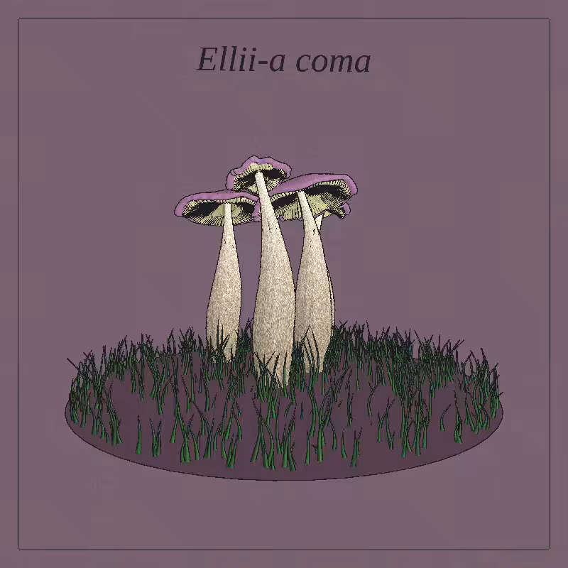 SHROOMS 3D #54