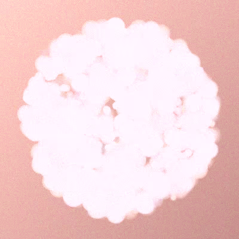 Furbol #547