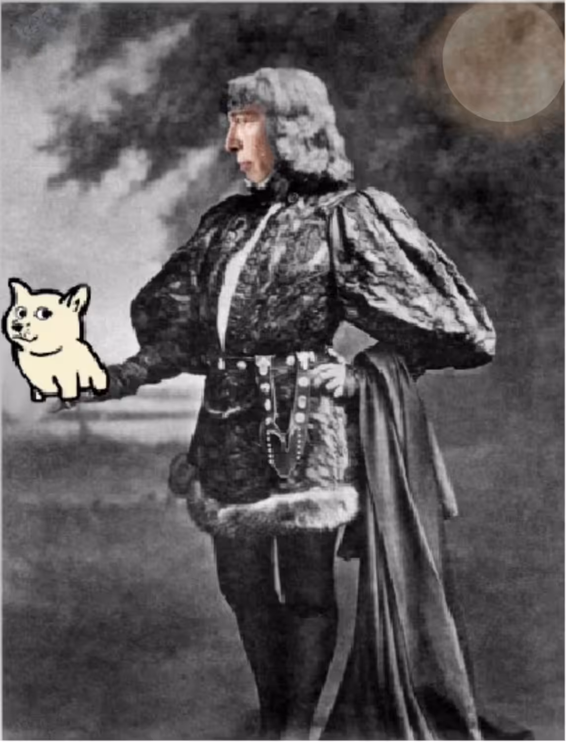 To Doge or Not to Doge