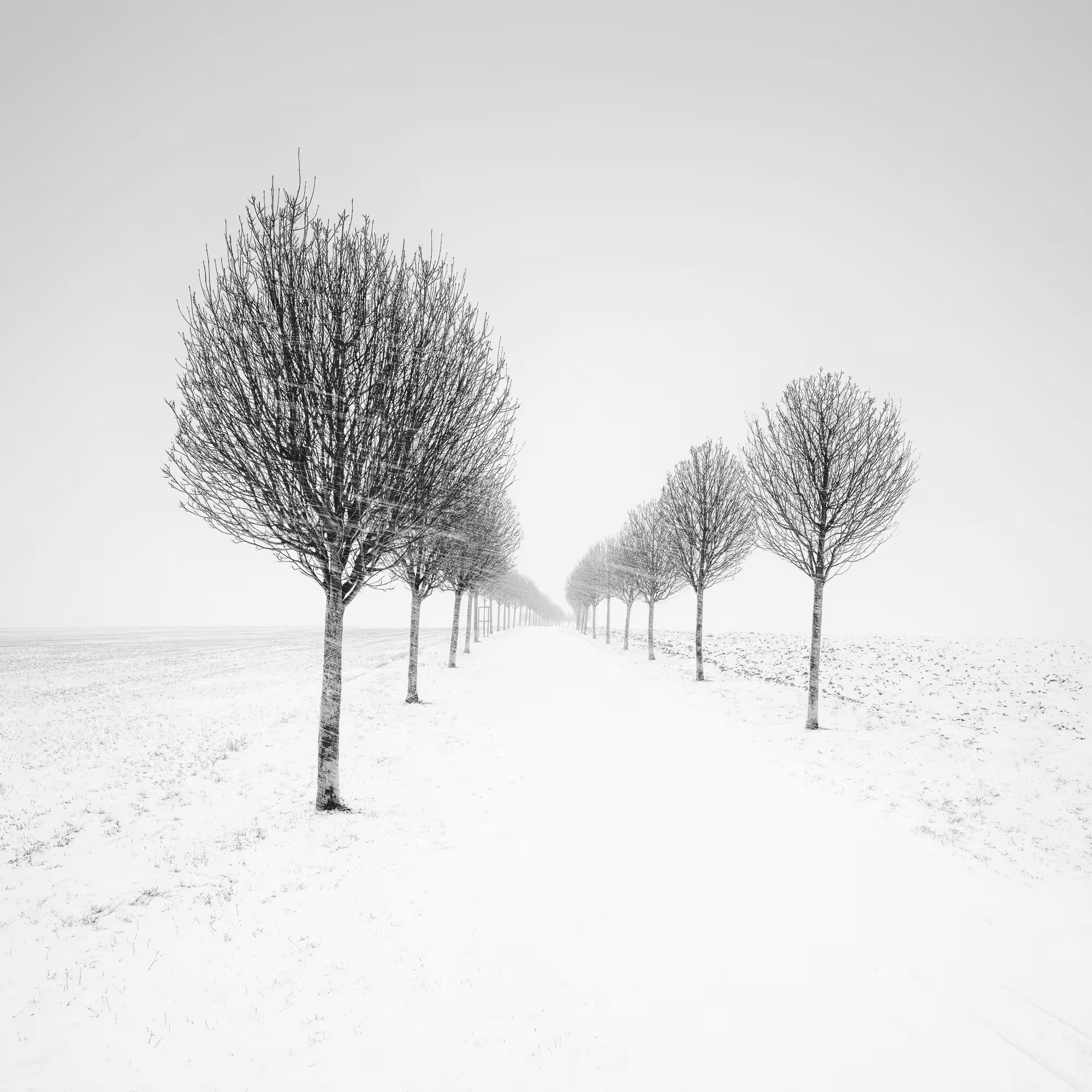 Sound of Silence #27