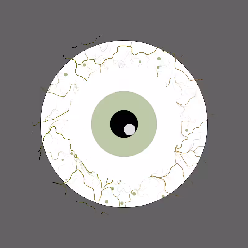 Eyeball after final Exam #3