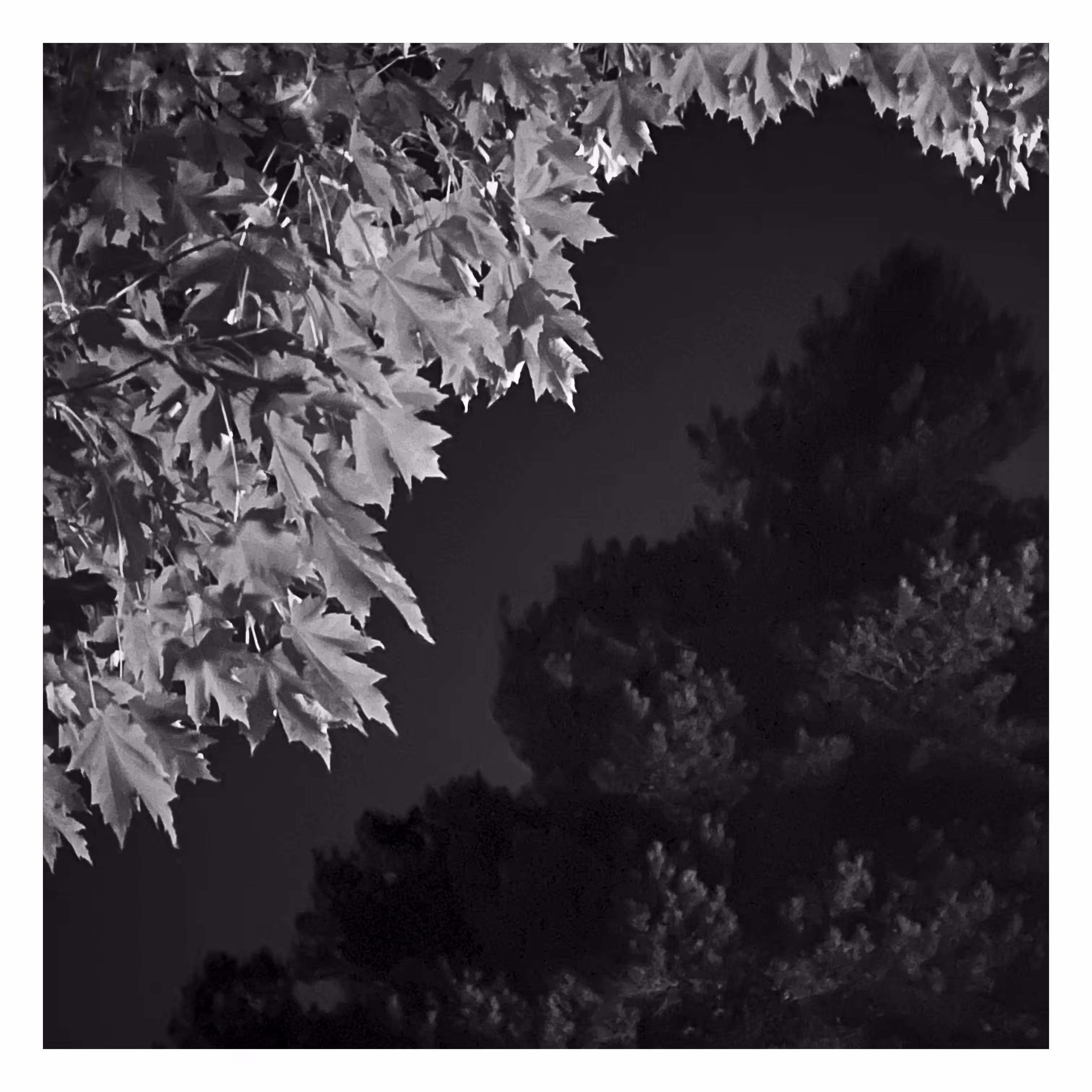 Stroll: July 20, 2023 • 10:57pm