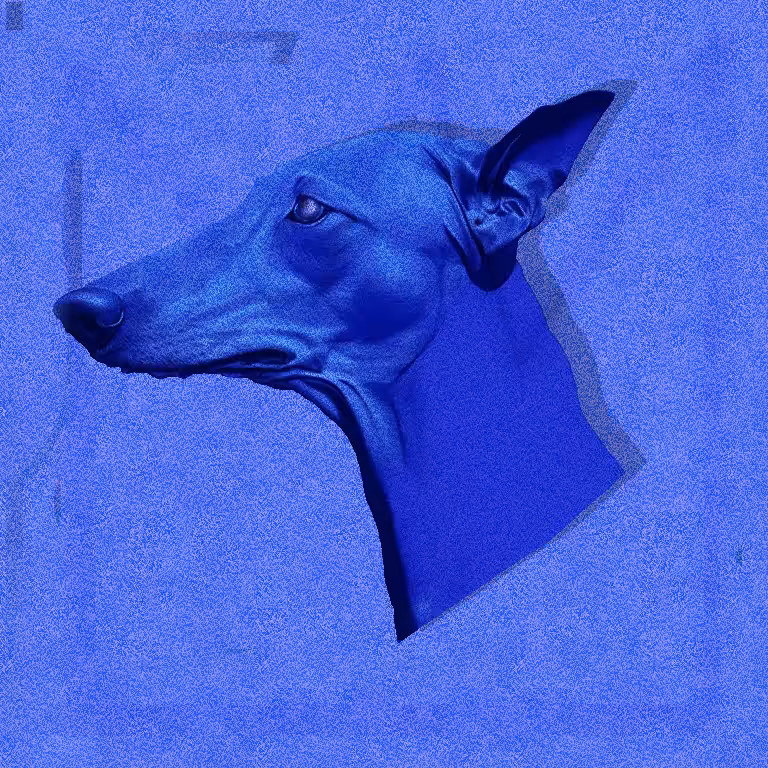 BLUE DOG