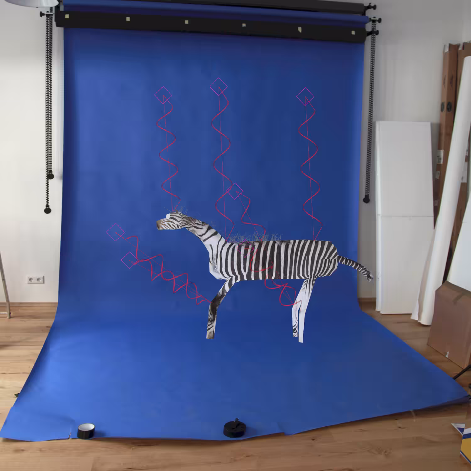 Nikita Diakur - Studio Footage, Zebra Escape