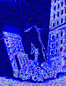 Bones