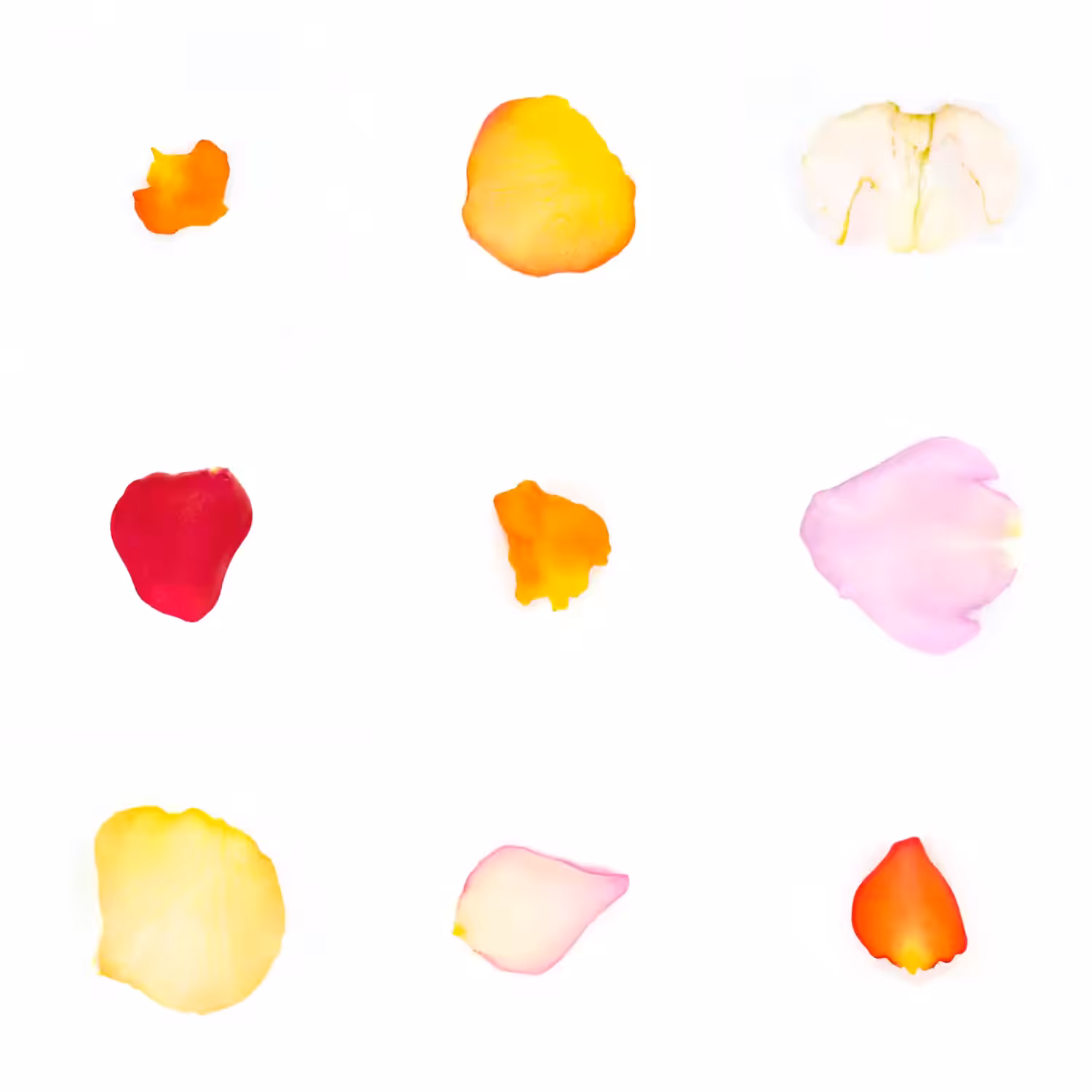 Infinite Petals 3x3#24228