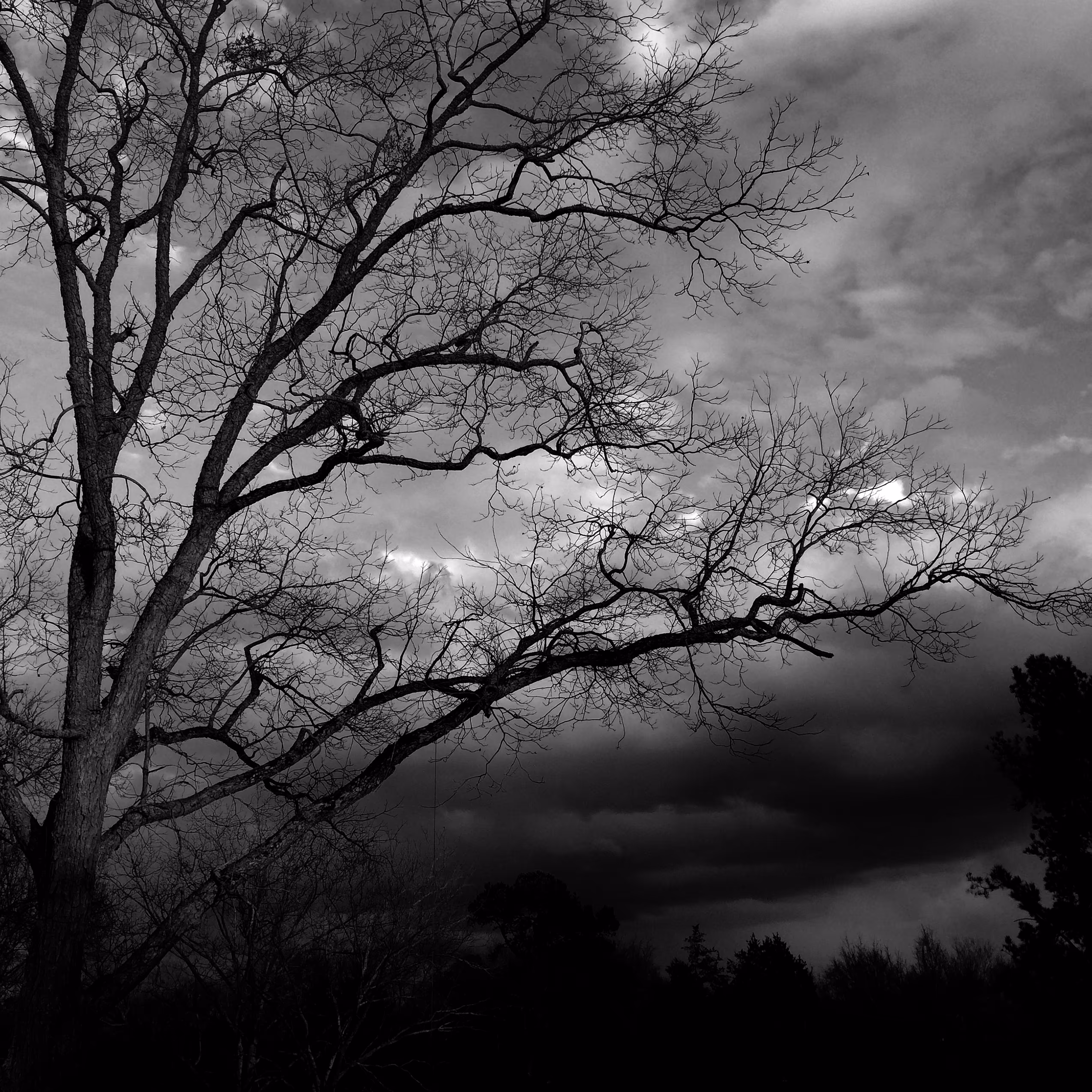 Particles and Waves: Pecan 