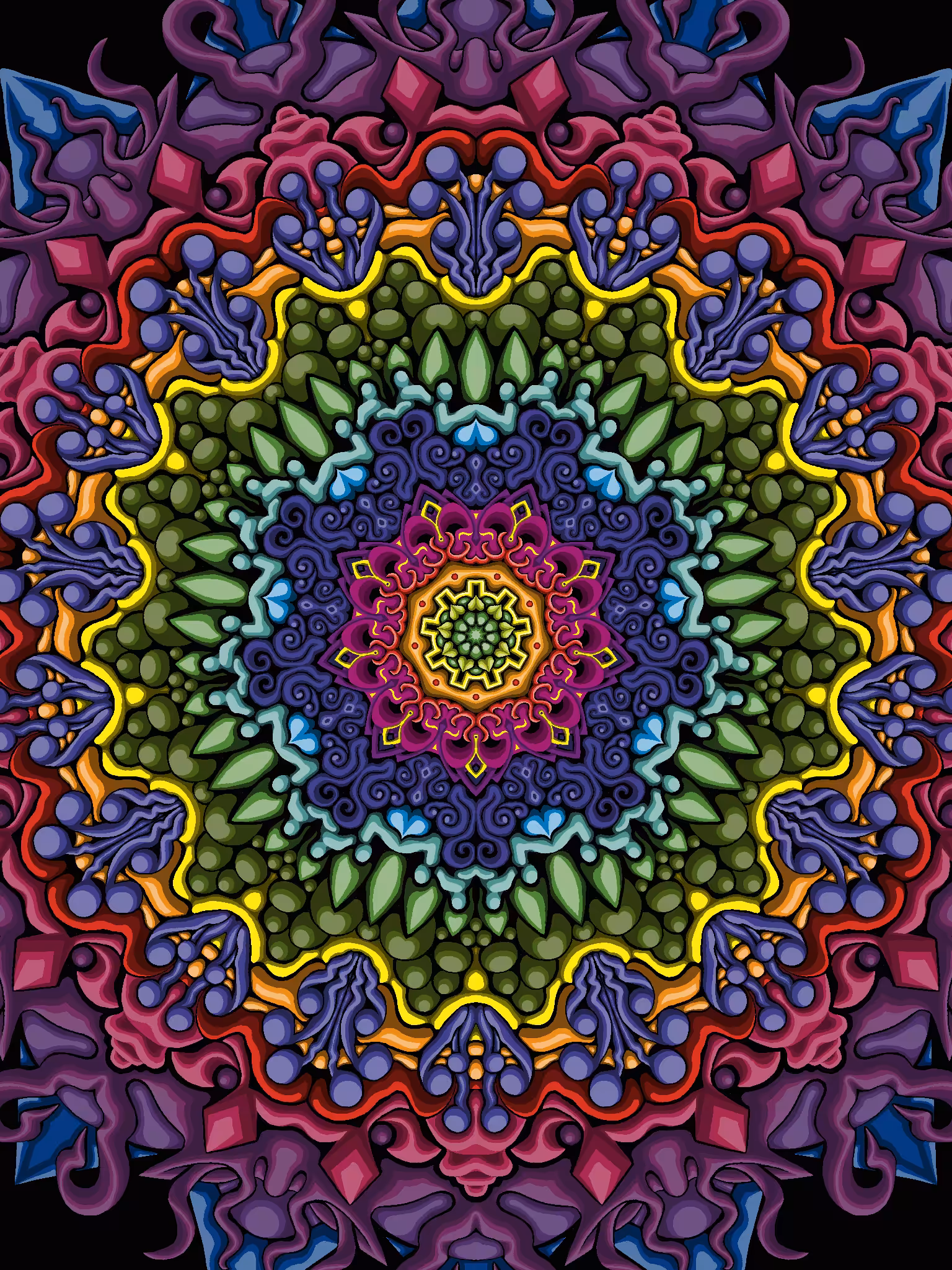 Chrysanthemum 