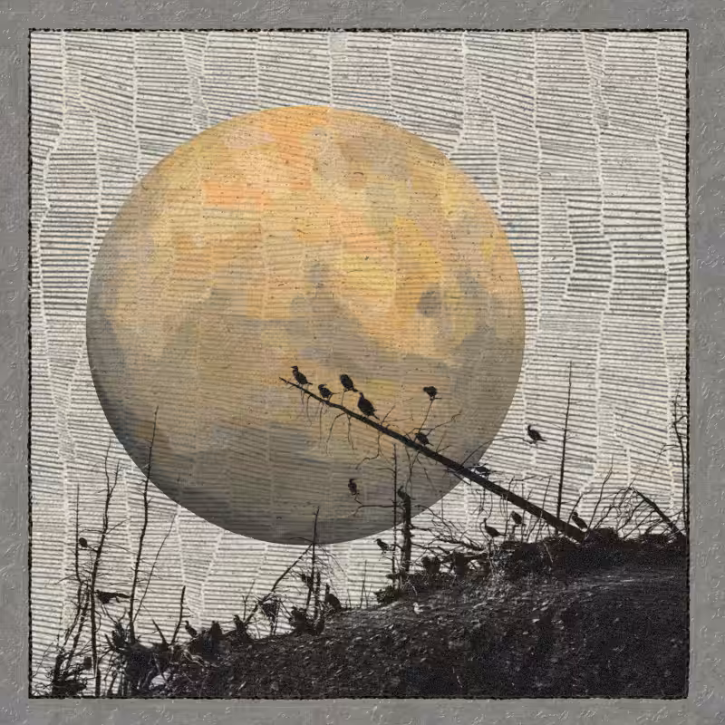 Travel to the planets #24