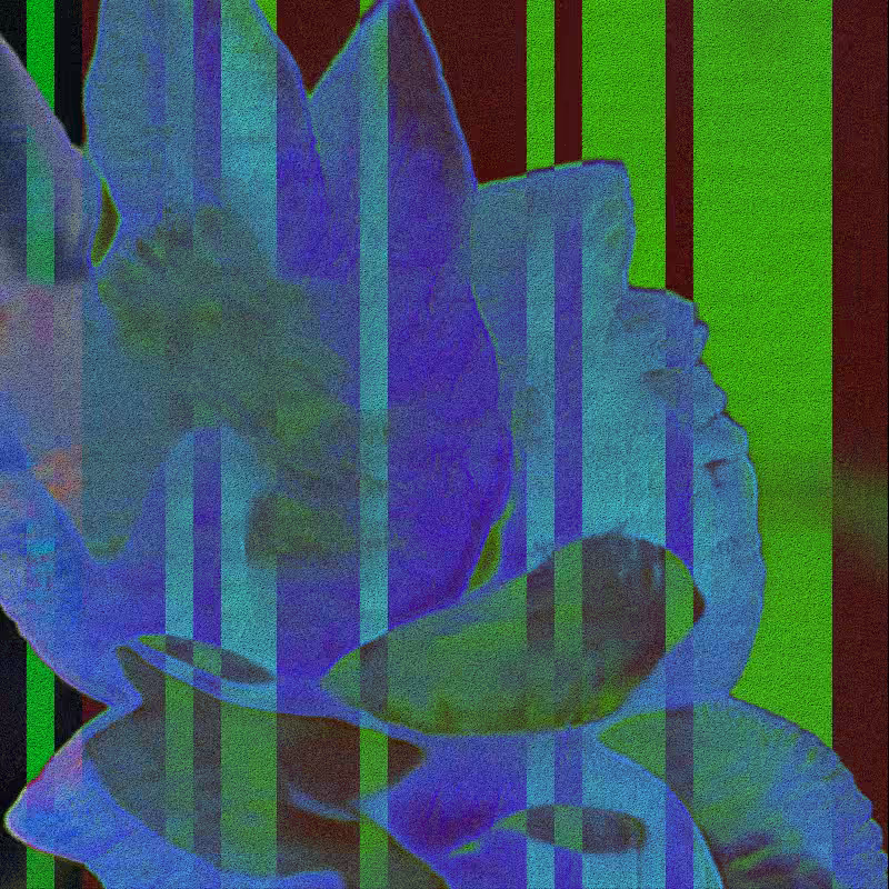 CLDCSMC #35