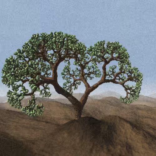 Lonely Tree #25