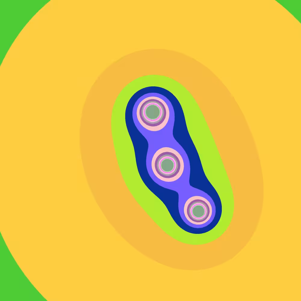 Mitosis #12