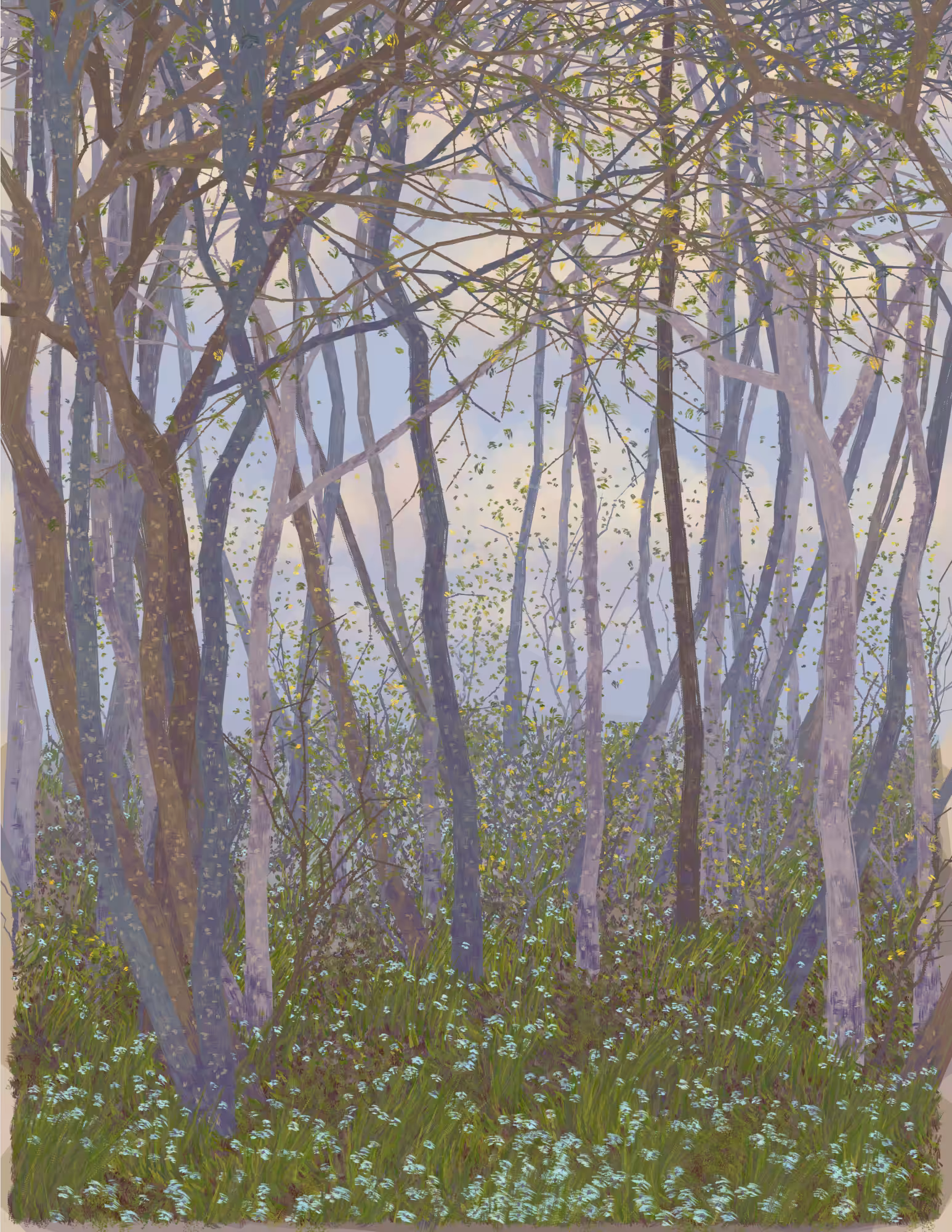 Deep Forest #112