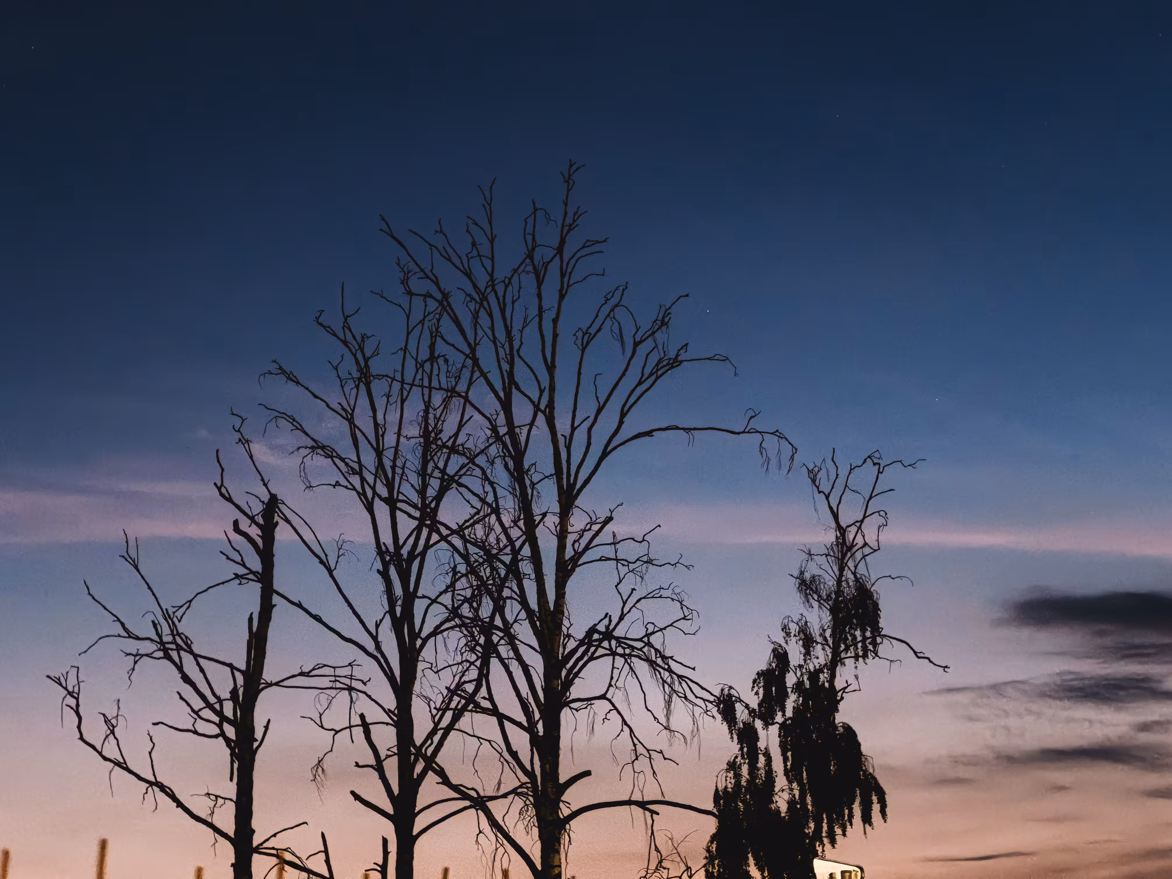 Whispers of Twilight