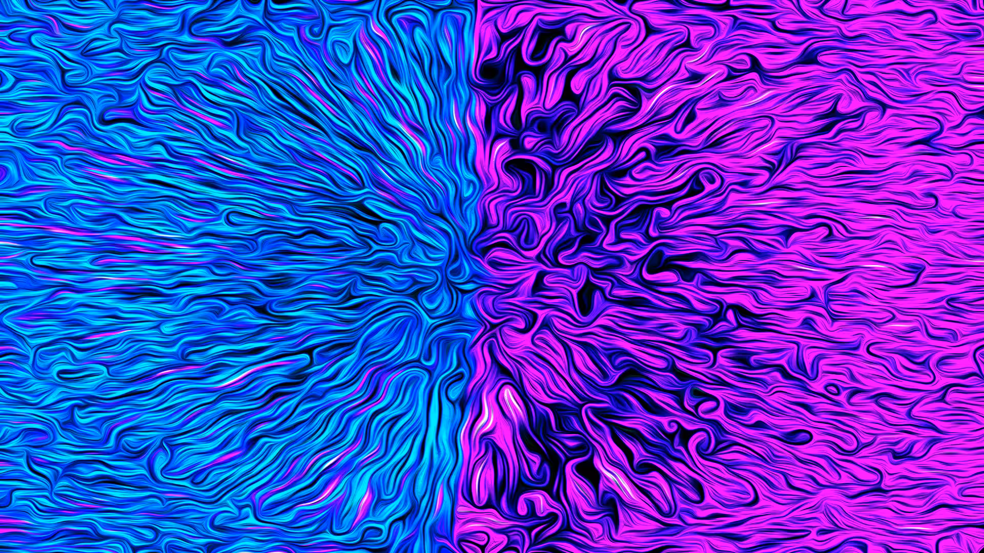 POLARIZATION