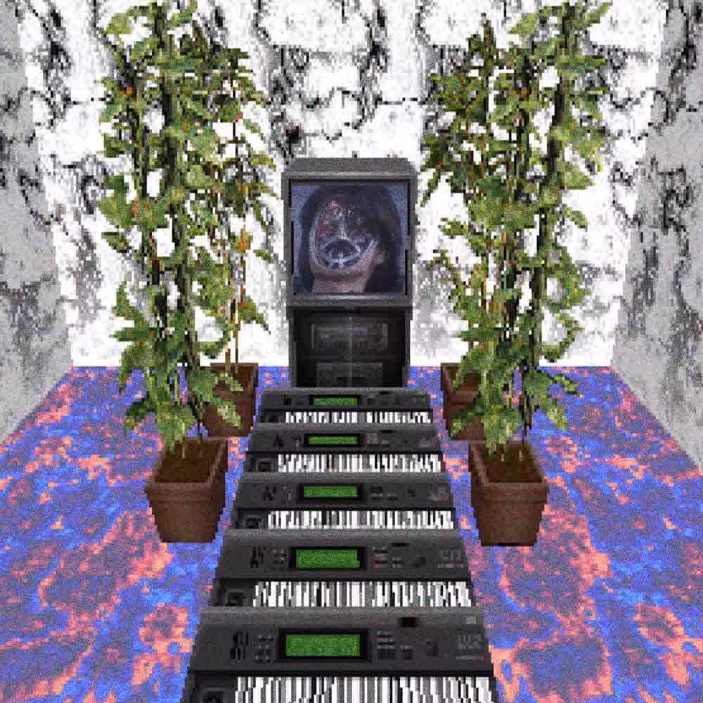 DREAMSOFBONG001
