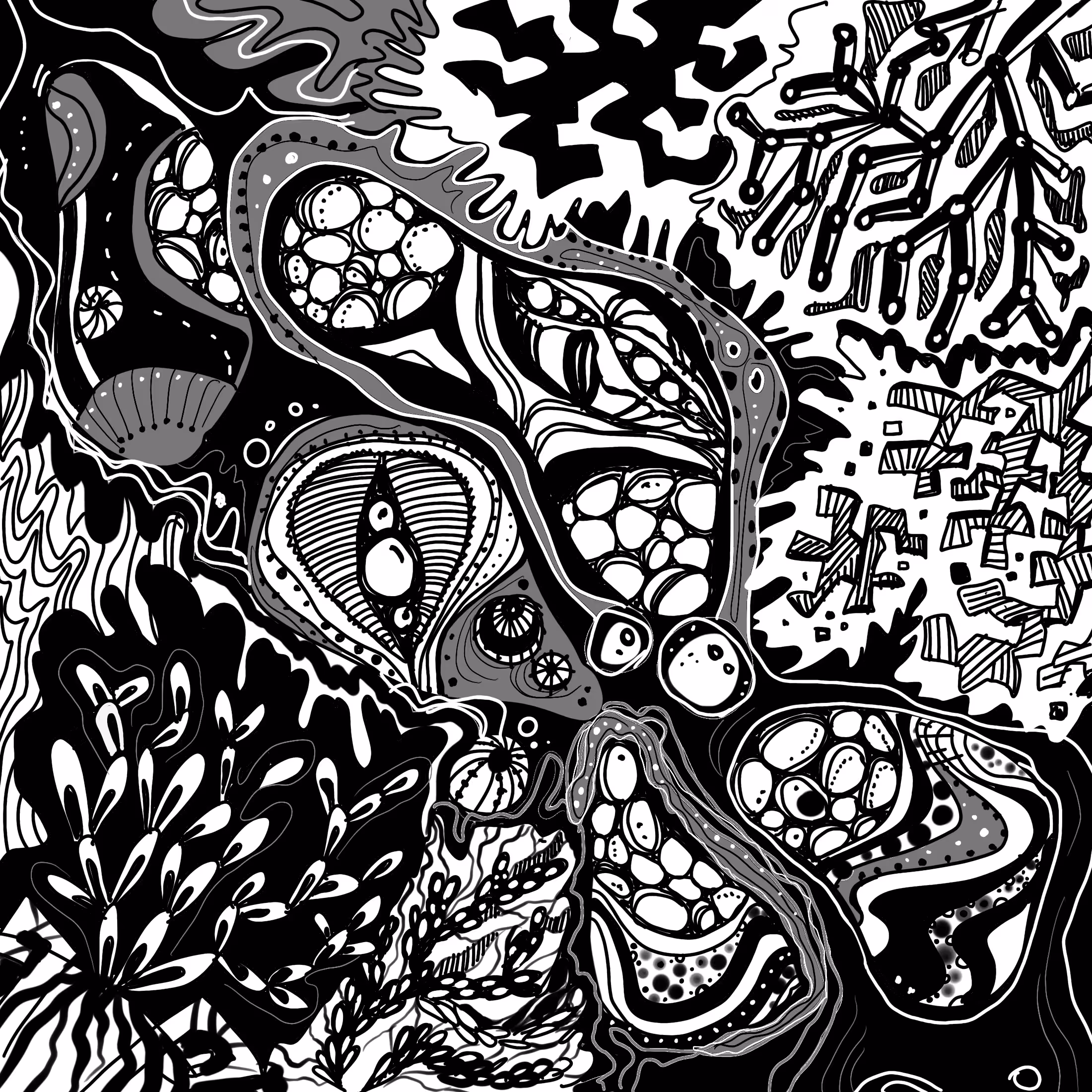 Coral reef