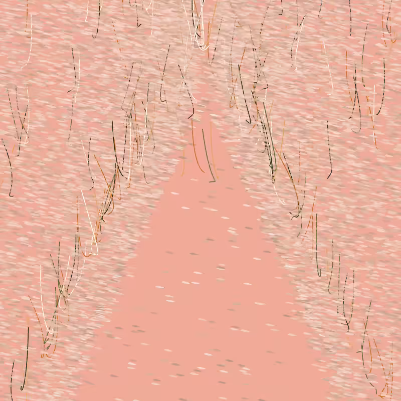 Forest path #10