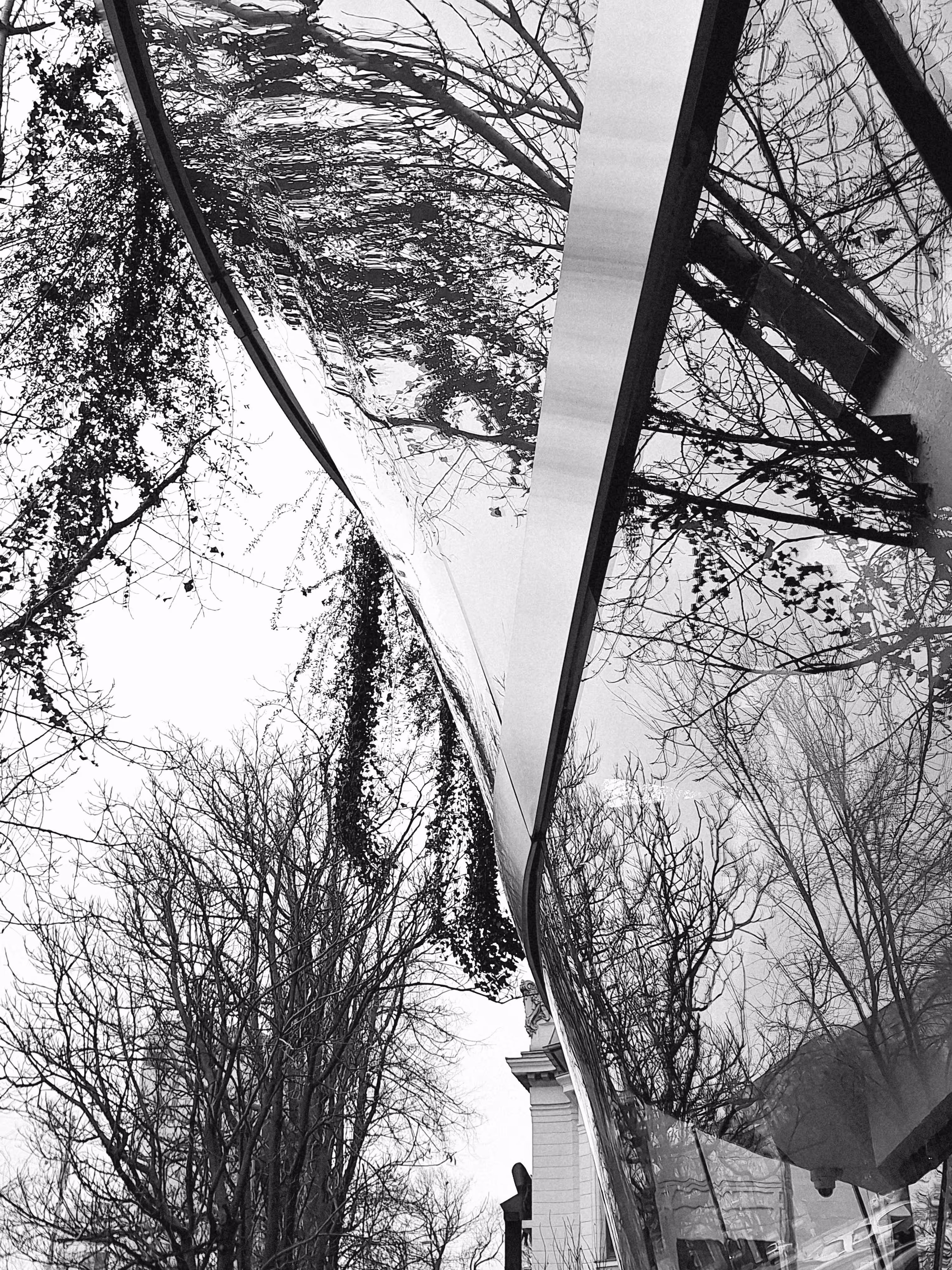 Spline 2 