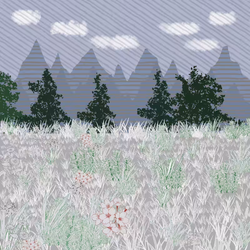 Mountain Meadows #79