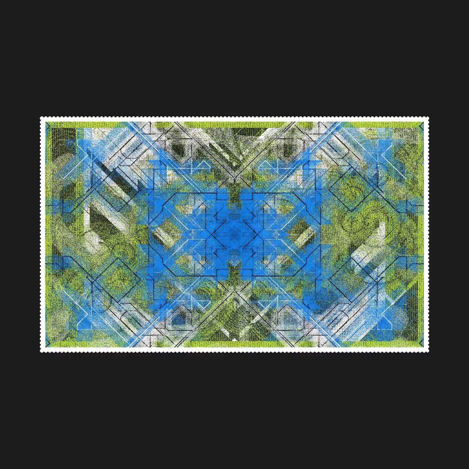 貝殻 | SHELL #61