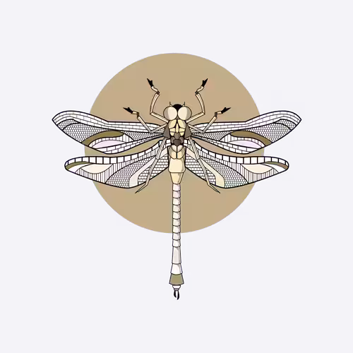Anisoptera Tetradic: Basket Beige