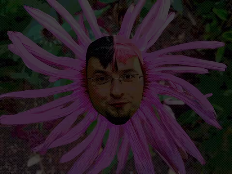 Pretty Flower