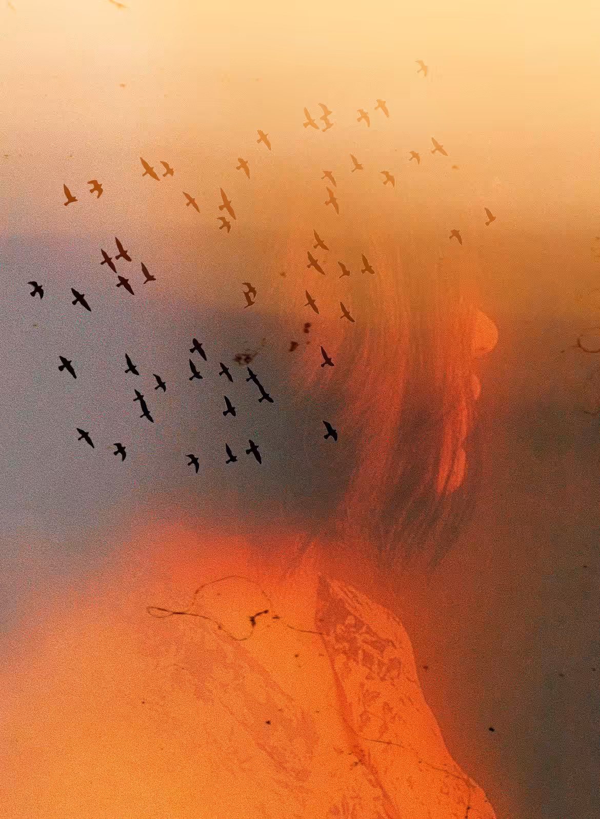 a daydream on a summer's day 
