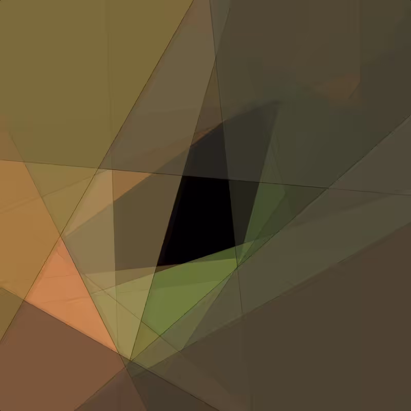 Inside the Shape #48