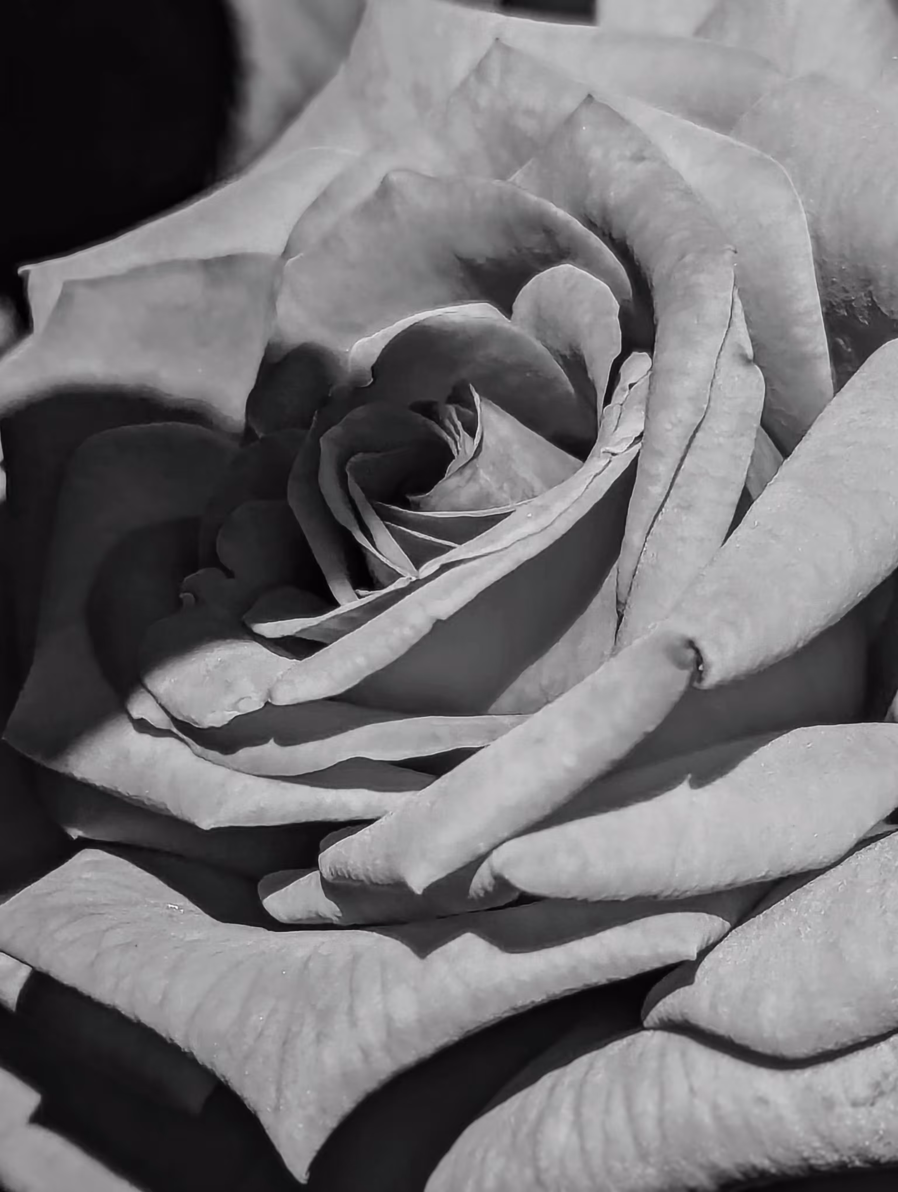 Luke_0x1 Photography : Swirl 