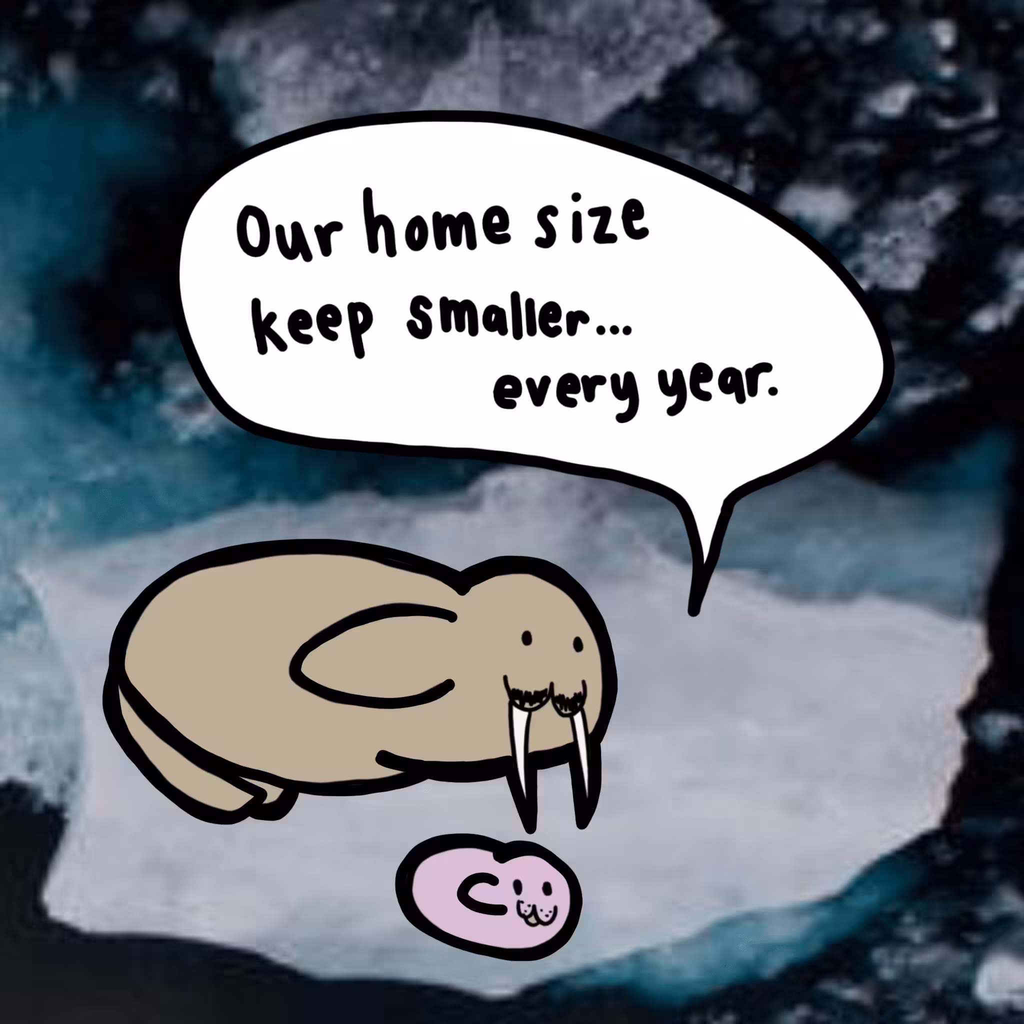 ANIMALS JUST WANT TO GO HOME #09 "WALRUS" Our home size keep smaller every year.